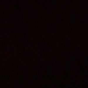 Meet your Posher, Gregory